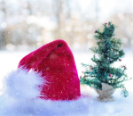 Garth’s Groaner – Wednesday, December 18, 2019